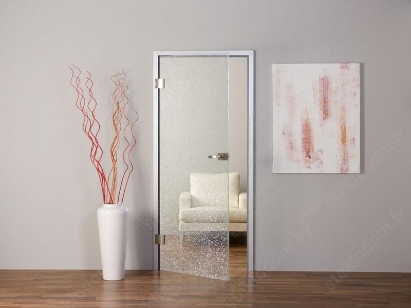 Виды стеклянных дверей для установки в квартире или доме фото